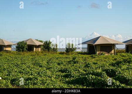 Eco tents, canvas, camping, recreation, Flamingo Campground, Everglades National Park, Florida,   Flamingo, FL Stock Photo