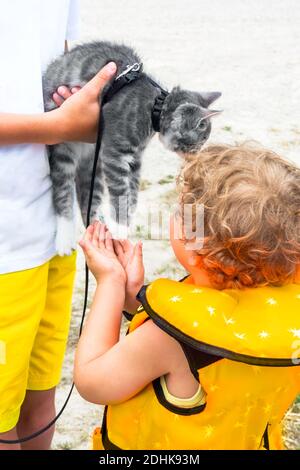 cute little boy in illuminating life jacket play with grey kitten, friendship, animal love concept. Trendy colors of 2021 year Stock Photo