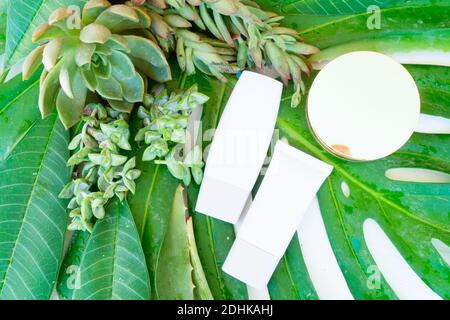 green lush with cosmetic products Stock Photo