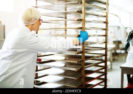 Young pretty focused female worker in sterile cloths is pushing a tin sheet shelf through a food production line. Stock Photo
