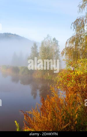 Autumn trees by the water, Poland, Europe Stock Photo