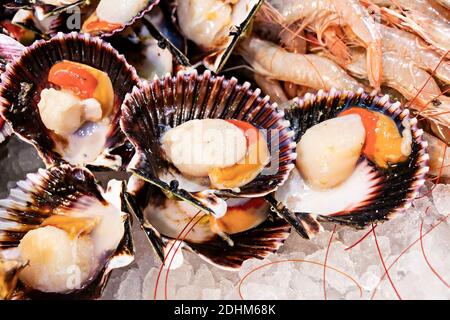 Fresh scallops in Fish market. Stock Photo