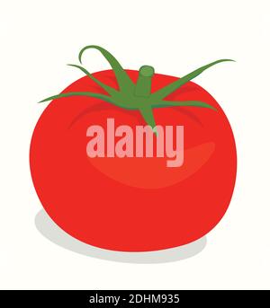 Realistic Tomato Tomato Icon. Flat Design. Vector Illustration. Stock Vector