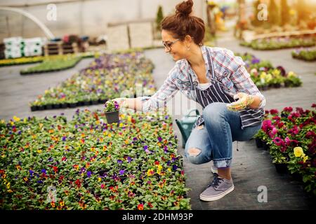 Cheerful pretty florist women sorting flowers pots outside the greenhouse. Stock Photo