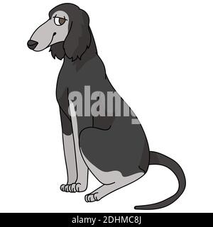 Cute cartoon Saluki sitting dog vector clipart. Pedigree kennel Borzoi breed for kennel club. Purebred domestic puppy training for pet parlor Stock Vector
