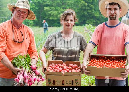 Alabama Mt. Mount Laurel Grow Farm organic farming,holding harvested turnips new potatoes cherry tomatoes,man men woman, Stock Photo