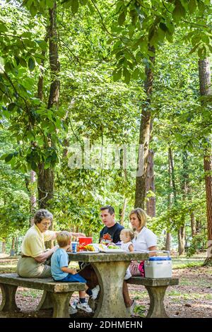 Huntsville Alabama,Monte Sano State Park,family child mother father boy son baby picnic table eating,forest, Stock Photo