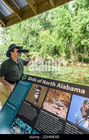 Alabama Decatur Hospitality Nature Park birding birder,man binoculars looking, Stock Photo