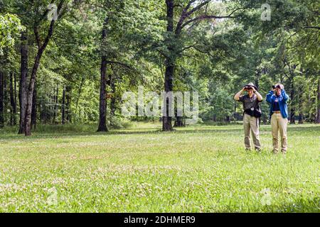 Alabama Decatur Hospitality Nature Park birding birder,man binoculars woman female couple looking, Stock Photo