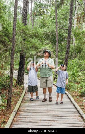 Alabama Dauphin Island Audubon Bird Sanctuary,man grandfather grandson sons boy boys birding birder binoculars looking,nature trail boardwalk, Stock Photo