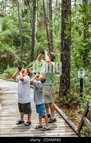 Alabama Dauphin Island Audubon Bird Sanctuary,man grandfather grandson sons boy boys birding birder binoculars looking,nature trail boardwalk Stock Photo