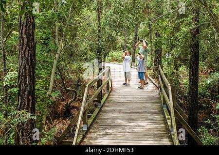 Alabama Dauphin Island Audubon Bird Sanctuary,man grandfather grandson sons boy boys birding birder binoculars looking,nature trail boardwalk, Stock Photo