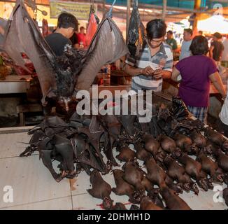 Flying foxes (bats) for sale at Tomohon extreme market, Minahasha, north Sulawesi. Indonesia. Stock Photo