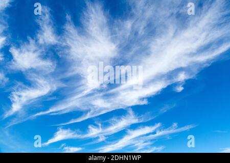 Cirrus clouds are lacy or wispy clouds that form at high altitudes, generally before a change in the weather. Stock Photo
