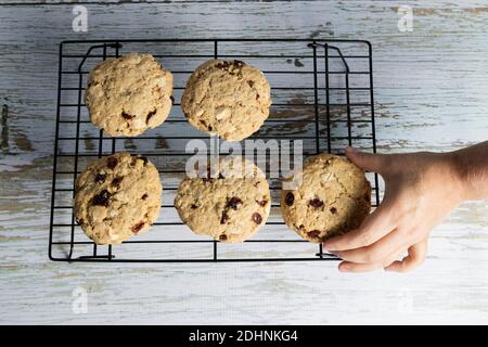 Woman's hand taking a freshly baked homemade oatmeal and blueberry cookie from the tray - healthy food and snacks Stock Photo