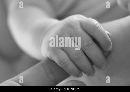 A baby hand grabbing an adult finger Stock Photo