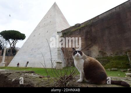 A view of the restored Pyramid of Cestius in Rome,Italy on February 3, 2016. Eternal City's only surviving pyramid dating from conquest of Egypt looks to attract more visitors after extensive clean-up funded by Japanese clothing magnate. Archaeologists are eager to show off the monument, constructed some 2,000 years ago as the burial tomb for a Roman praetor, or magistrate, named Caius Cestius. The pyramid is one of four known to have been built in ancient Roman days, but the only one to survive until today. Their construction reflected a fashion for Egyptian style in Rome after the conquest o Stock Photo