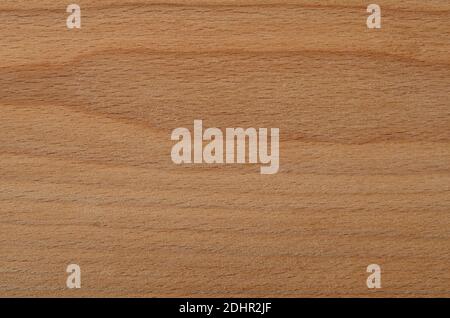 Against the backdrop of a new raw beech cutting board. New raw cutting board made of beech. Stock Photo