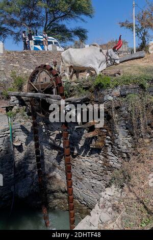 Old and traditional persian wather wheel (sakia) from Tarpal, Rajasthan, India. Stock Photo