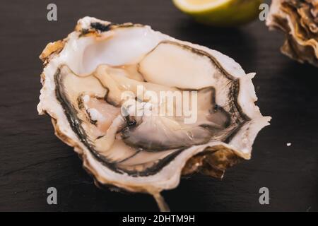 Single Raw Oyster Opened with Lemon on Black Slate Stock Photo