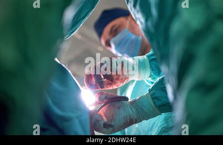 Physicians in Surgery looking down at patient Stock Photo