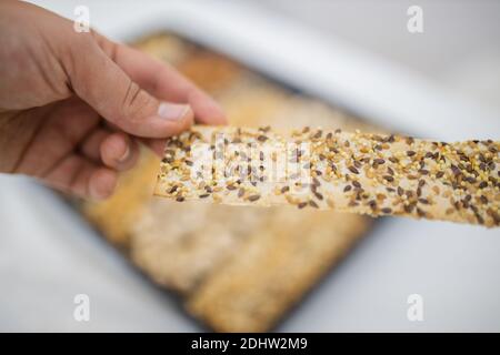 Female hand holding multi-seed crispbread above a tray with seeds and nuts Stock Photo