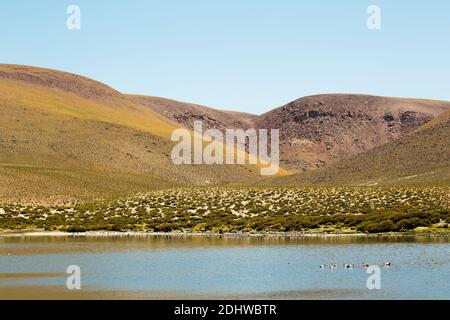 Lagoons at high altitude above the village of Machuca, Atacama desert, Chile Stock Photo