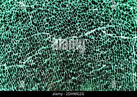 Bei Einem Auto Ist Die Seitenscheibe Zersplittert. Sicherheitsglas Stock  Photo - Alamy