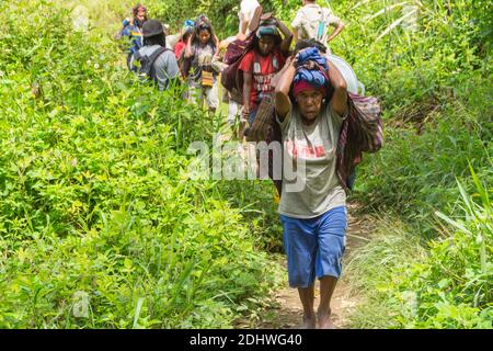 Female porters carry goods in their noken from Wamena to their village in the Baliem Valley. West Papu, Indonesia Stock Photo