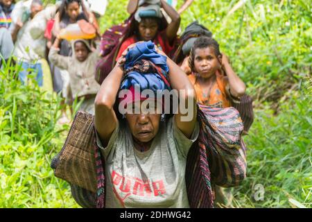 Female porters carry goods in their noken from Wamena to their village in the Baliem Valley. West Papu, Indonesia Stock Photo