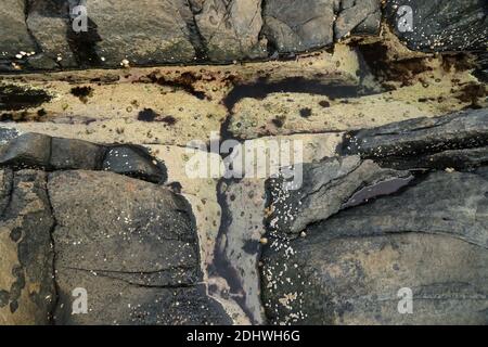 rock pool, North Sea Stock Photo