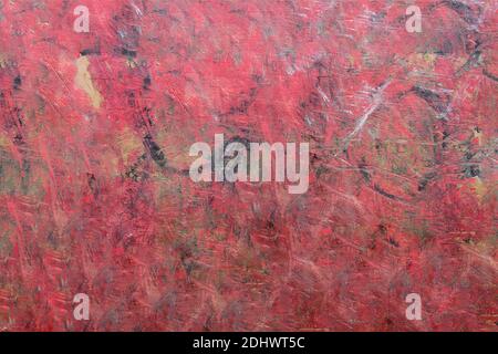 Maple wood with paint splatters and scratches. Abstract art. Background texture. Stock Photo