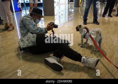 Denpasar, Bali, Indonesia. 12th Dec, 2020. A man taking photograph of a dog with costume. A pet Christmas costume parade held in Level 21 Mall in order to celebrate ''12.12'' National Online-Shopping Day and the Christmas. Credit: Dicky Bisinglasi/ZUMA Wire/Alamy Live News Stock Photo