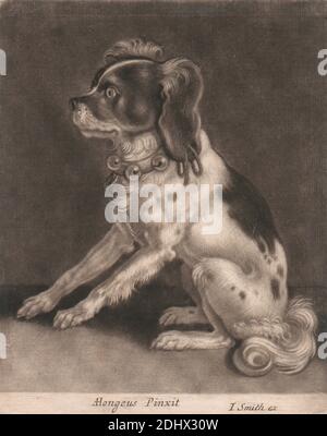 A Dog with A Belled Collar, Print made by John Smith, 1652–1743, British, after Abraham Hondius, c. 1625/30–1695, Dutch, undated, Mezzotint on medium, moderately textured, cream, laid paper, Sheet: 6 1/8 × 4 15/16 inches (15.6 × 12.5 cm) and Image: 5 13/16 × 4 15/16 inches (14.8 × 12.5 cm Stock Photo
