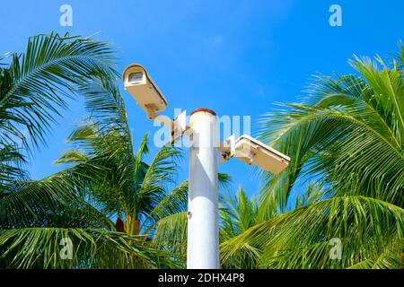 CCTV Security digital camera with palm trees , security , safety on the beach during holidays . Stock Photo