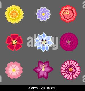 Set with bright summer flowers in different forms Stock Vector