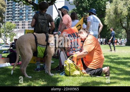 Melbourne, Victoria. 12 December 2020. Extinction Rebellion Rally. A woman and her dog prepare to march. Credit: Jay Kogler/Alamy Live News Stock Photo