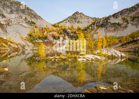 WA18698-00...WASHINGTON - Small island with subalpine larch in Lower Ice Lake, part of the Glacier Peak Wilderness area. Stock Photo