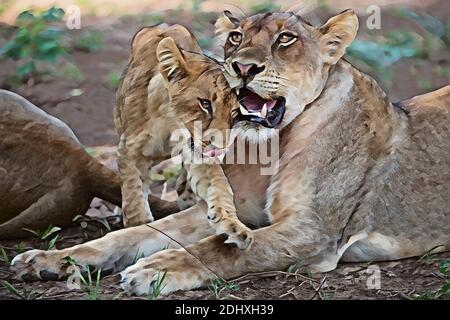 Africa, Zambia, South Luangwa National Park, Mfuwe. Lioness with cub (WILD: Panthera leo). Computer enhanced. Stock Photo