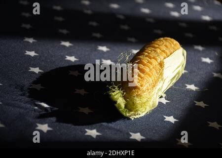 Dried out and dehydrated and withered corn on blue background of flag stars Stock Photo