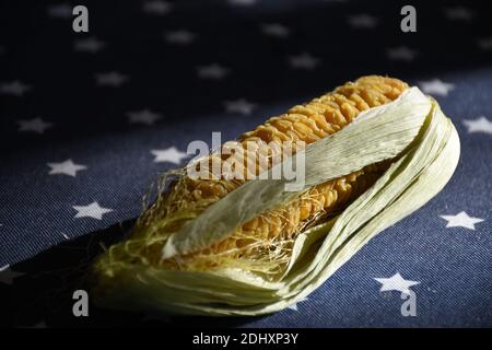 Dried out and dehydrated and withered corn on blue background of flag stars Stock Photo