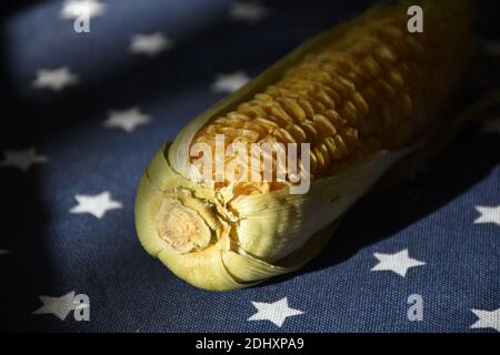 Dried out and dehydrated and withered corn on blue background of flag stars Stock Photo