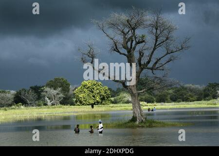 In Mopti, Mali, fishermen work on the river as dark storm clouds gather, highlighting the resilience of local livelihoods agaist nature. Stock Photo