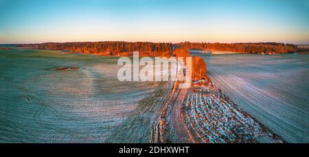 Winter green Agricultural field winter crops under snow panorama. Colorful trees December sunset Aerial scene. Rural dirt road. Countryside top view. Stock Photo