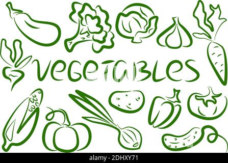 set of popular vegetables green outline Stock Vector