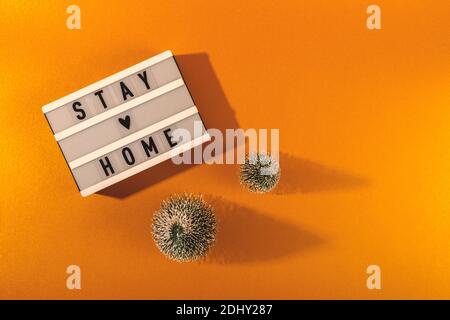 Stay Home written on lightbox among Christmas trees Stock Photo