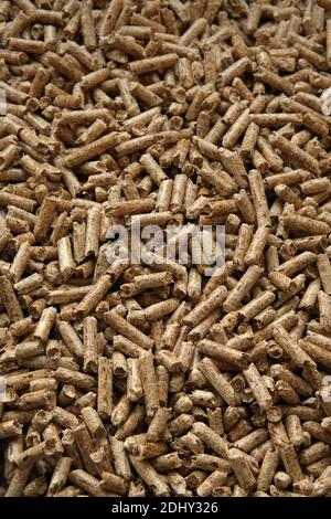 Wood pellets texture. Pellets made from compressed wood and used as natural cat litter. Eco-friendly and biodegradable material. Stock Photo