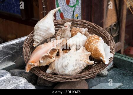 Collection of sea shells in a wicker basket on a stone table. Seashells and gifts of the sea Stock Photo