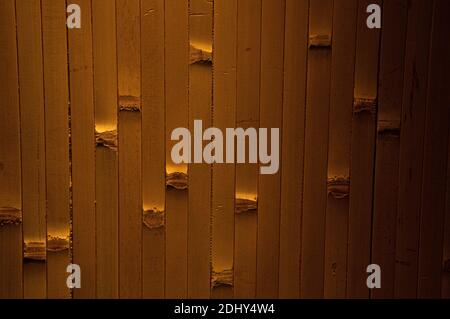 Texture from bamboo boards. Bamboo background. Bamboo wooden wall. Stock Photo