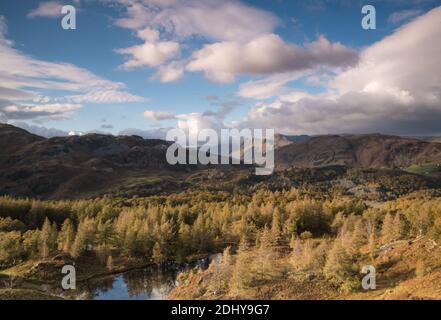 The Langdale from Holme Fell English Lake District Stock Photo